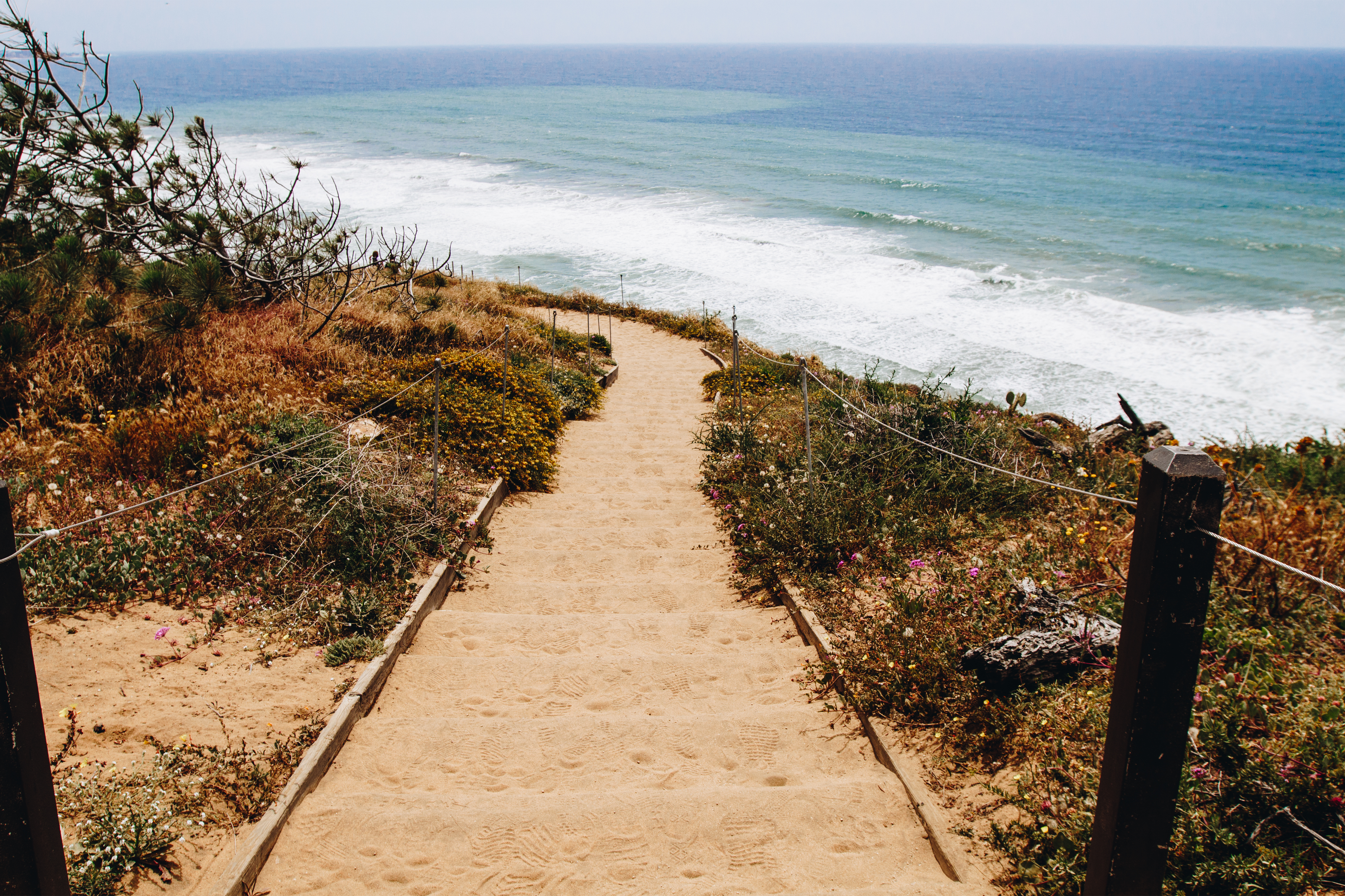 Torrey Pines State Natural Reserve South Guy Fleming Trail